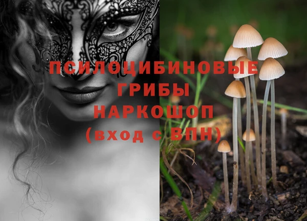 бошки Баксан